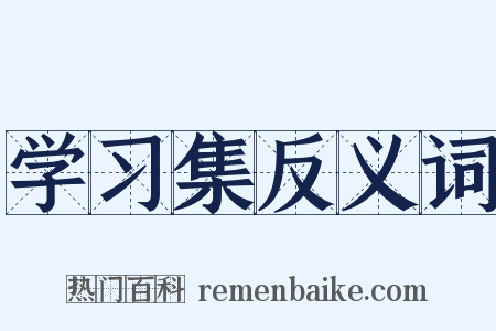 学习集反义词是什么意思的图片